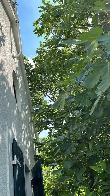 predivna kuća prvi red do mora - slika 8