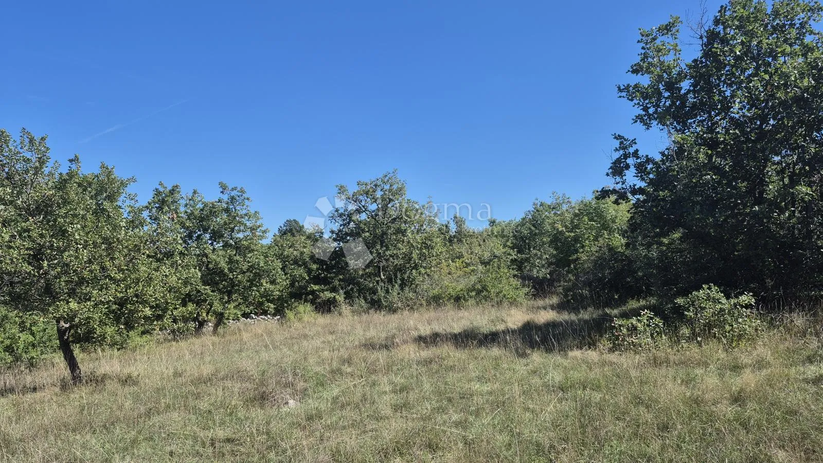 poljoprivredno zemljište nedaleko istarskog ipsilona 2913 m2 - slika 5