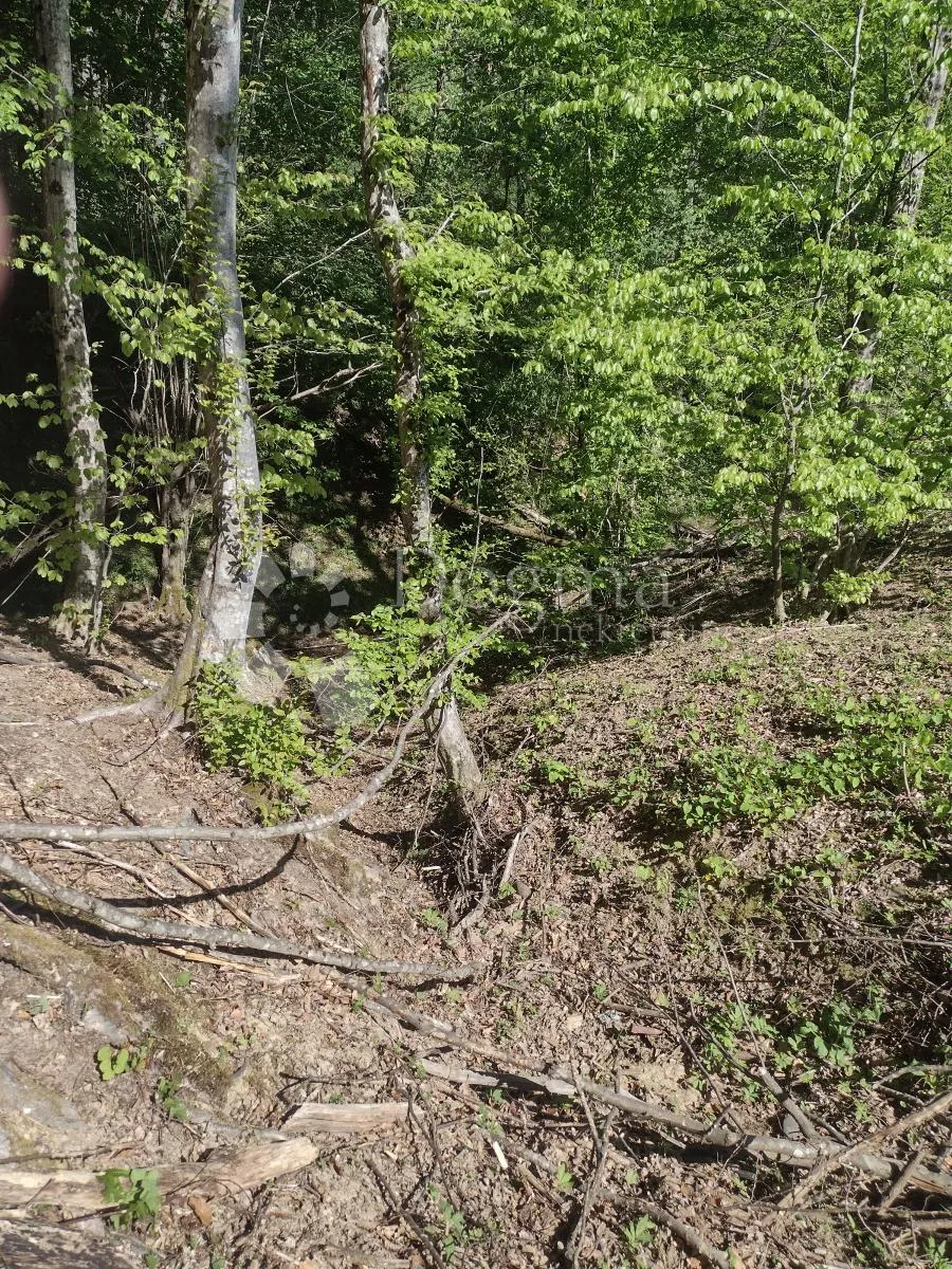 zemljište odlično, kuća loša, okolica daleko od bilo čega urbanog - slika 19