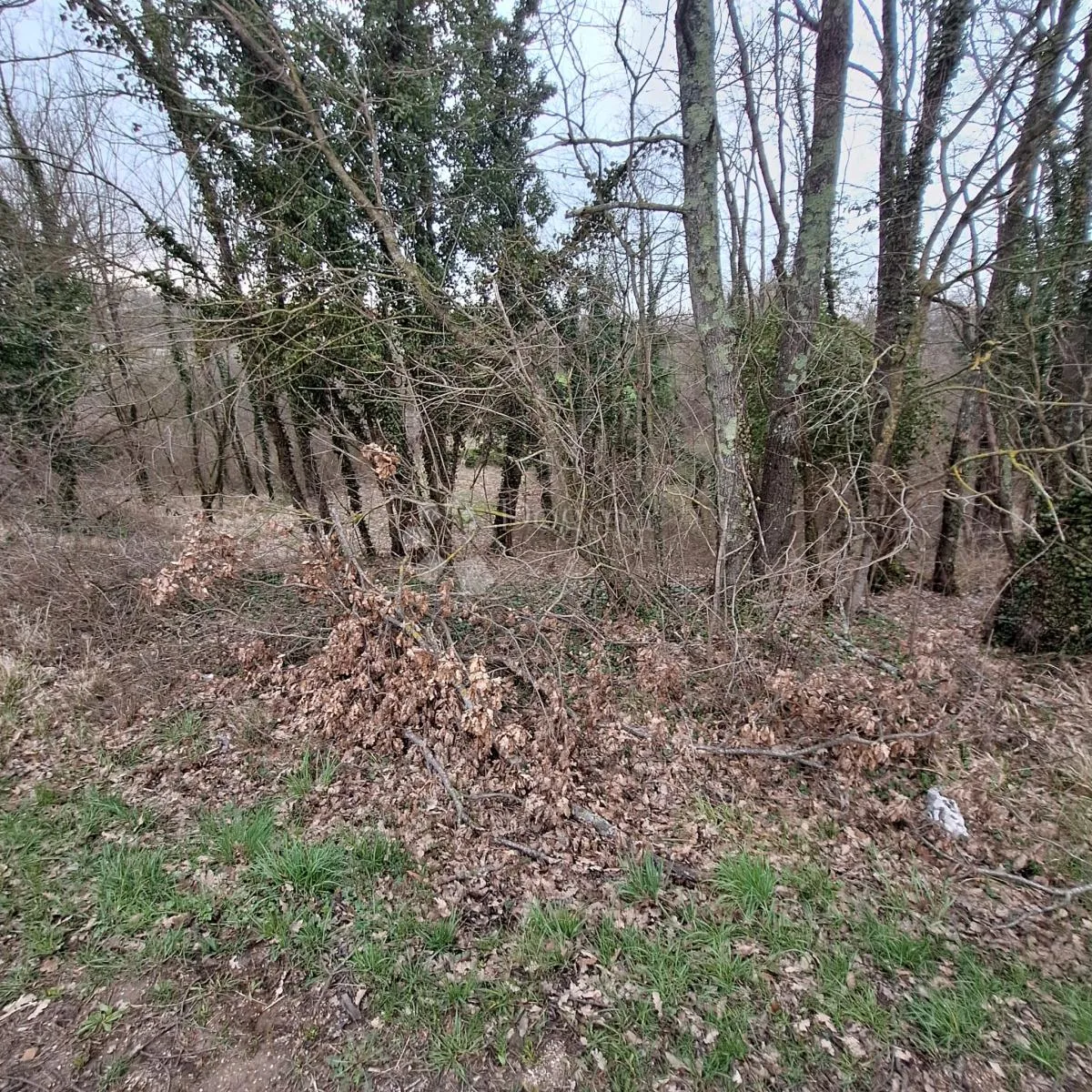 građevinsko zemljište - 914m2 - slika 2