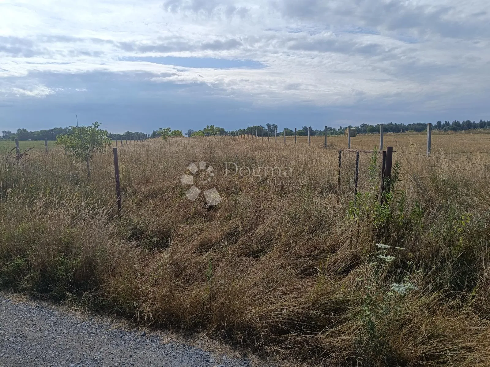 veliki potencijal - zemljište 5122 m² pored bilja - slika 2