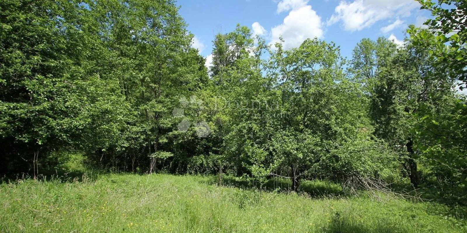 Poljoprivredno zemljište u Liču – 2.935 m², mirna lokacija - Lič, Fužine