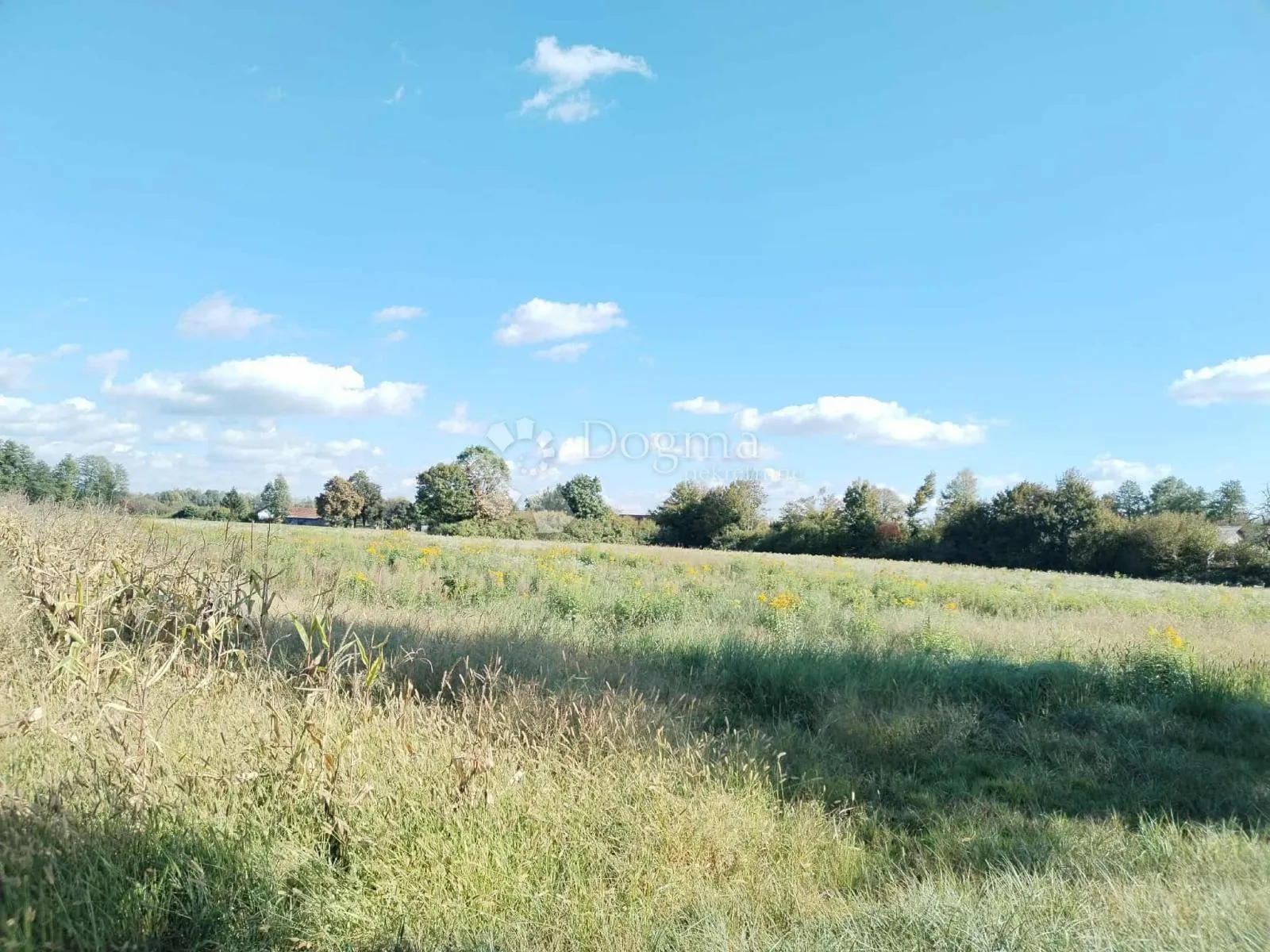 veliko imanje 39.323 m² – mir, priroda i potencijal! - slika 13