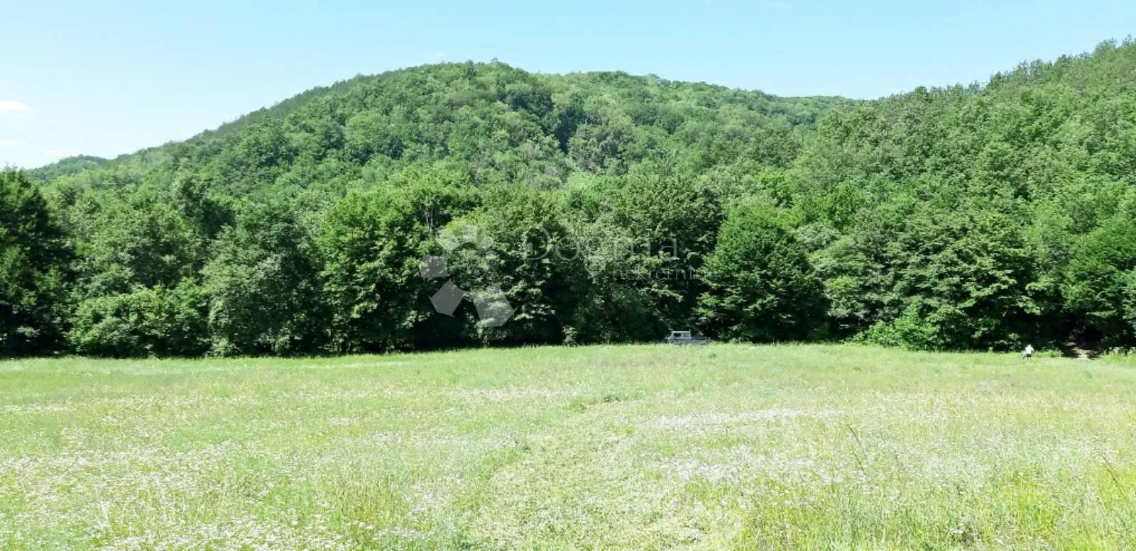 veliko imanje sa dvije kuće s ogromnim potencijalom - središnja istra - slika 5