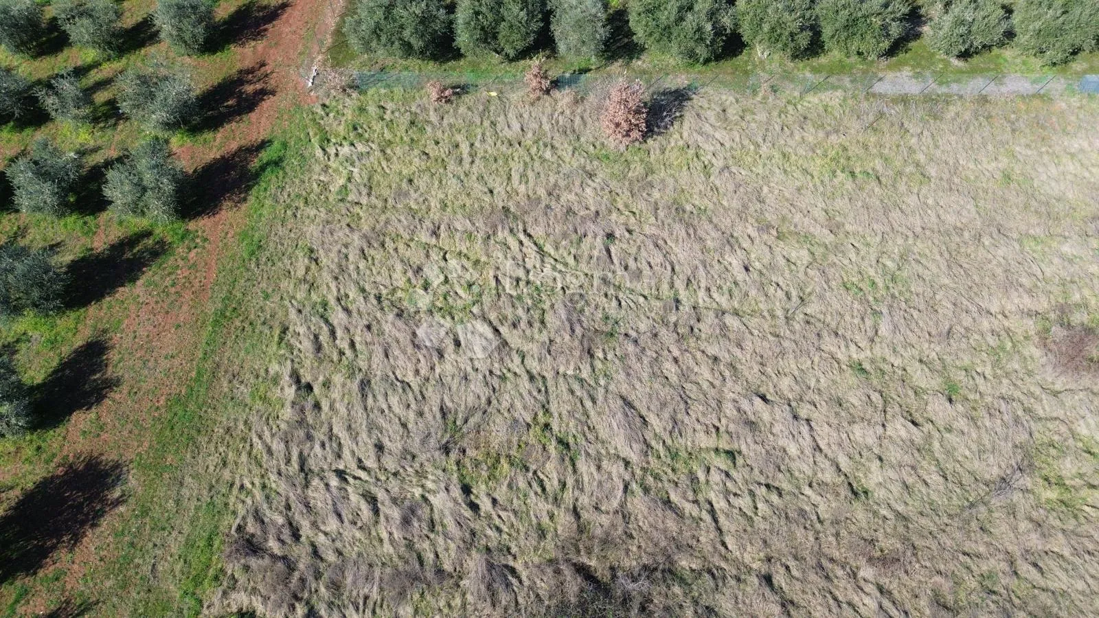 atraktivno građevinsko zemljište u kašteliru – 1.200 m² - slika 2