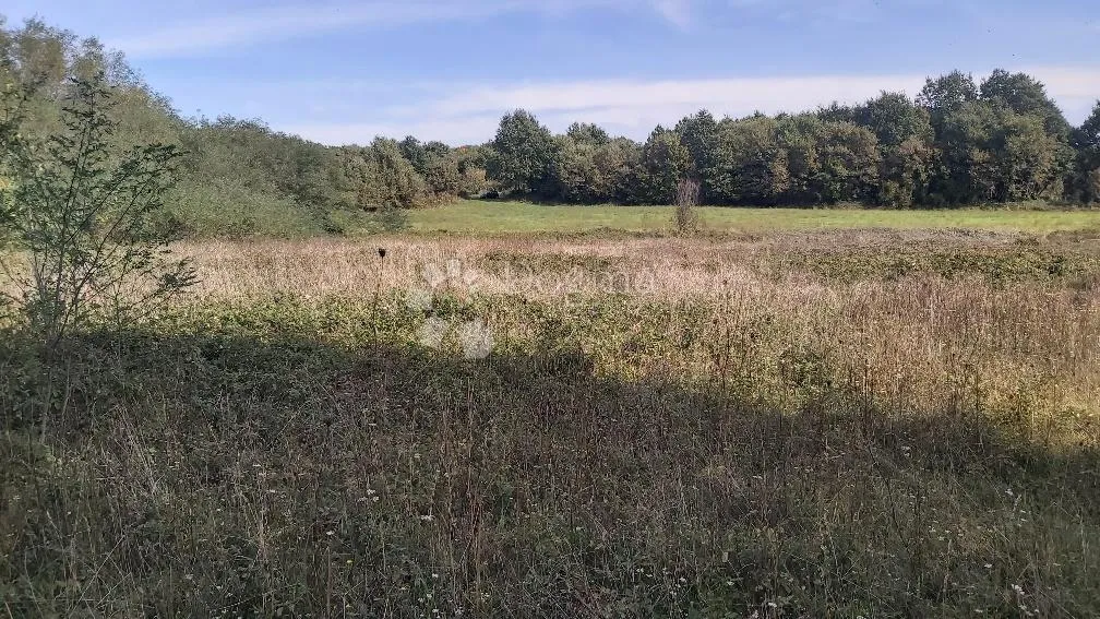 poljoprivredno zemljište, livada - slika 4