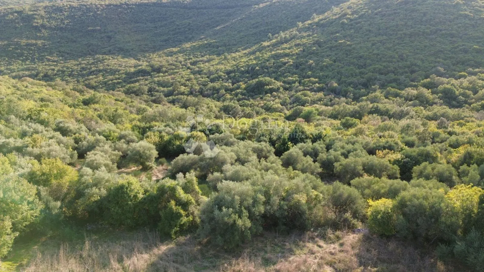 labin,okolica,,poljoprivredno zemljište (maslinik i šuma) ,graniči sa građevinskim,samo u našoj ponudi - slika 7