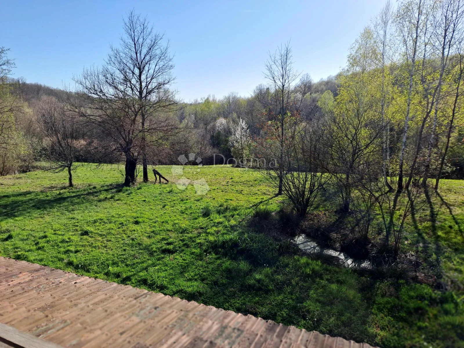 16 ha netaknute prirode - slika 2