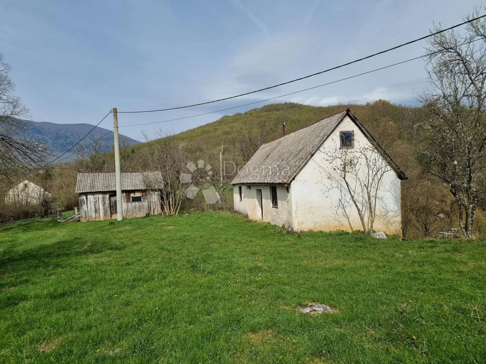 priiroda na najjače - slika 2