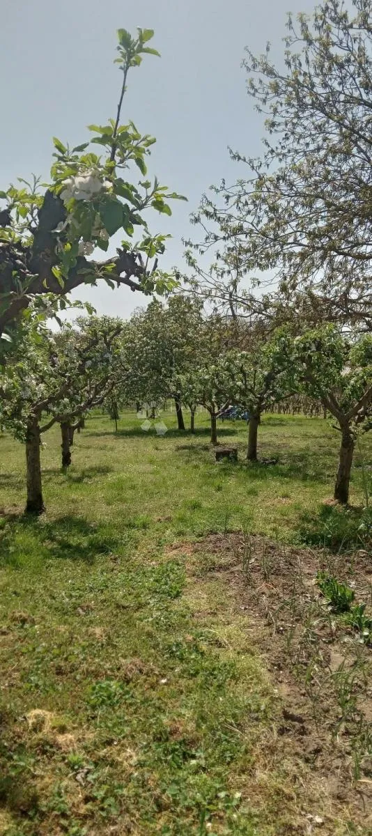 erdut: kuća koja nudi dom i zaradu! - slika 25