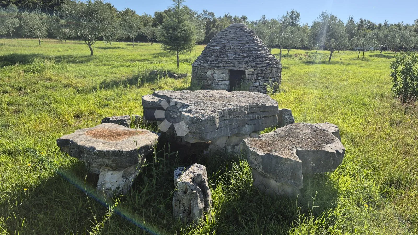 Poljoprivredno zemljište sa istarskim kažunom i maslinama 13979 m2 - Vodnjan