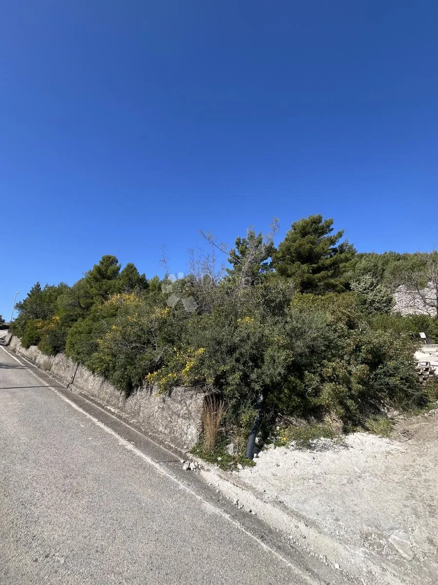 poljoprivredno zemljište, slano - slika 4