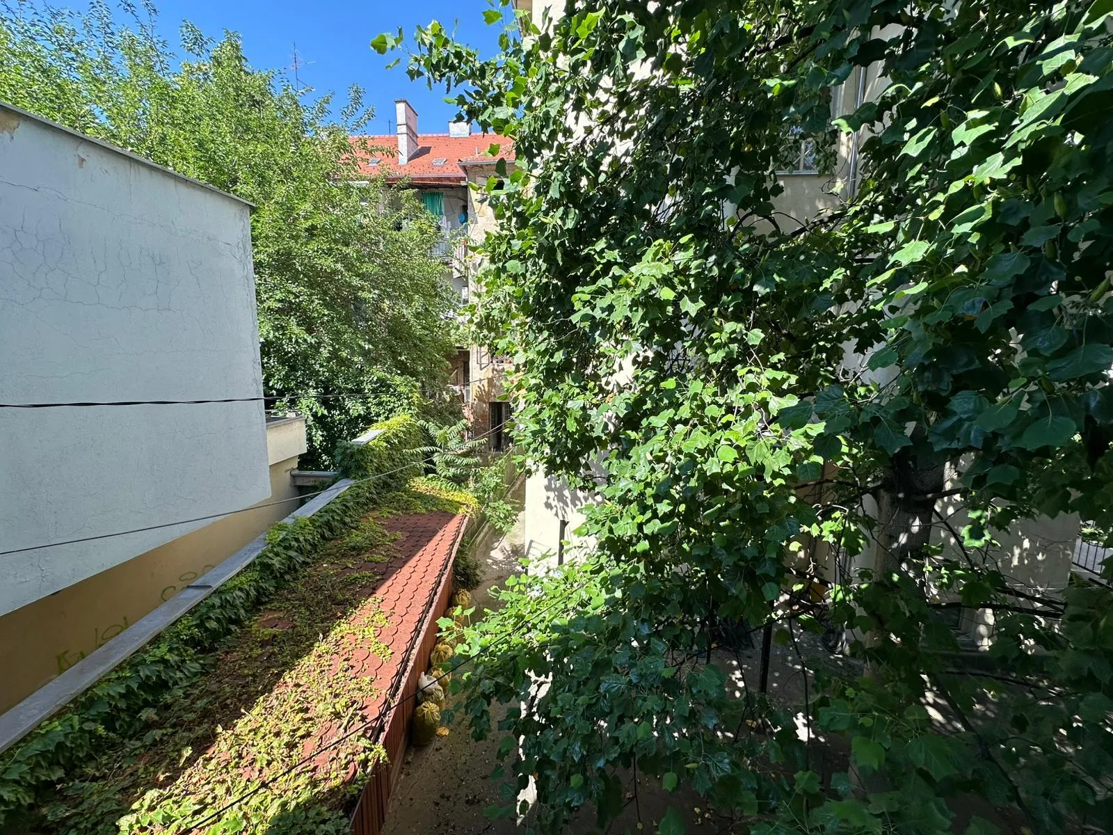 skriveni dragulj u centru zagreba - slika 9