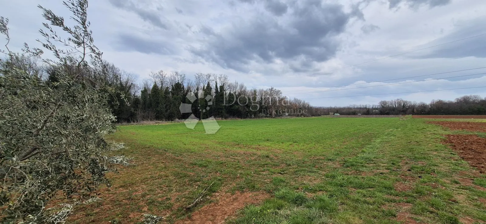 zemljište sa 60 maslina površine 10200 m2 - slika 11