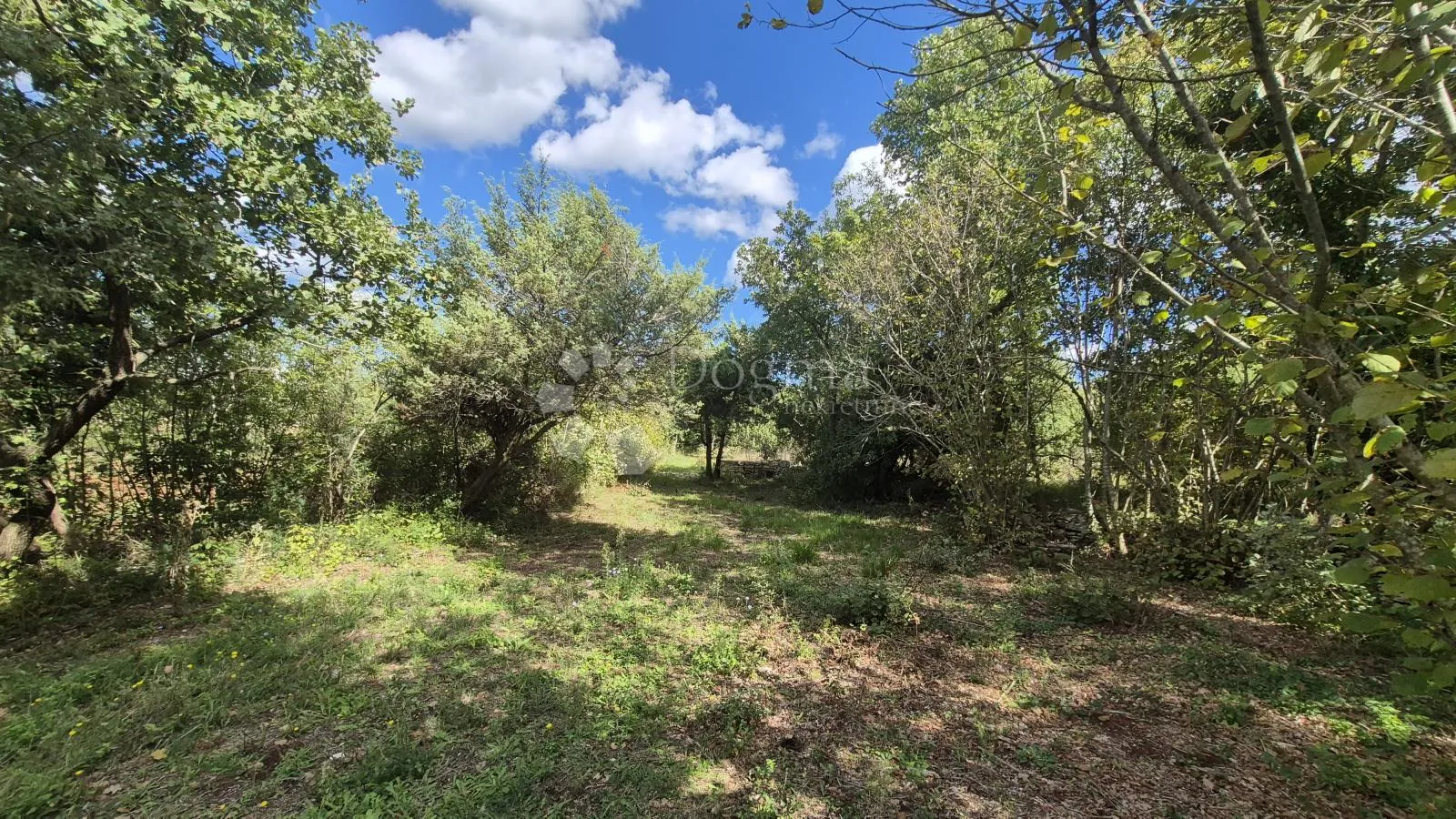 poljoprivredno zemljište sa kažunom površine 3550 m2 - slika 20