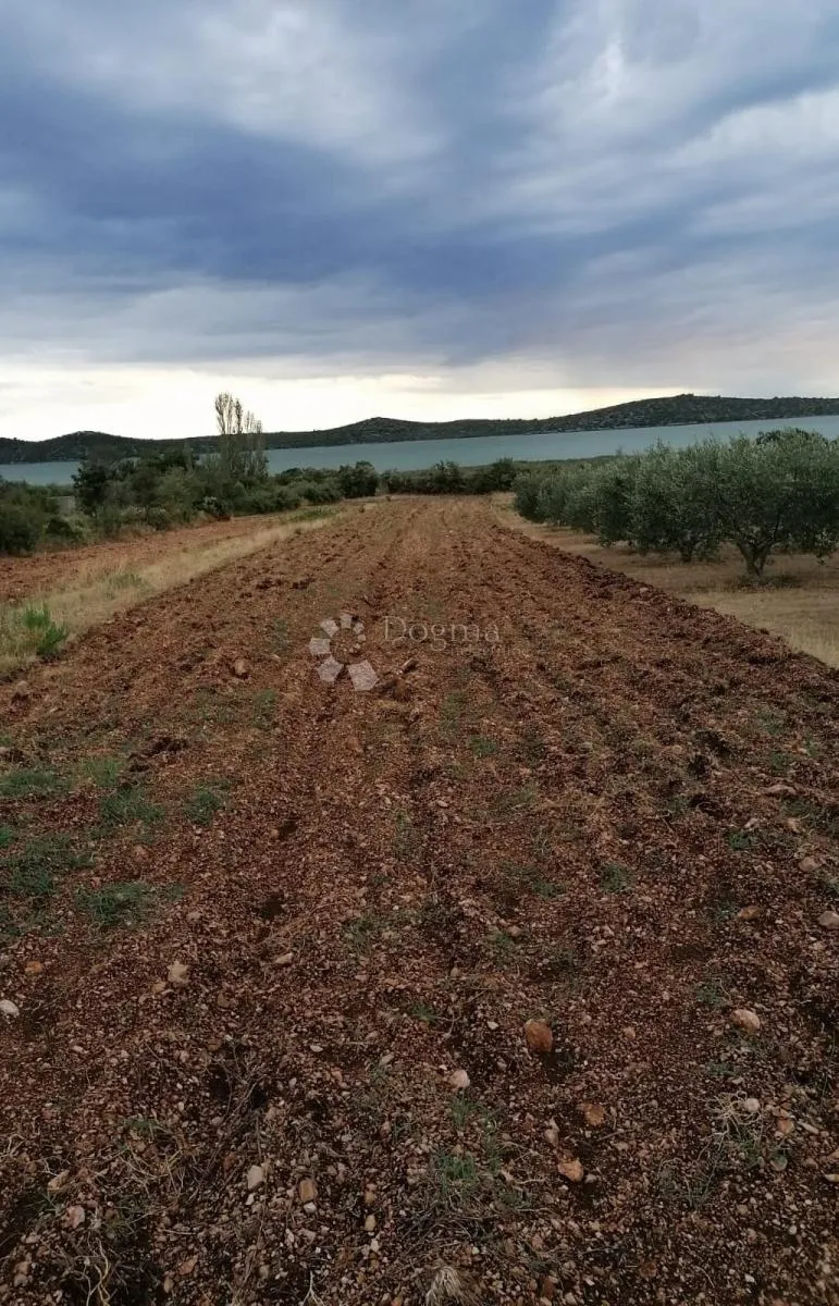 vransko jezero - poljoprivredno zemljište 3330m2 - slika 4