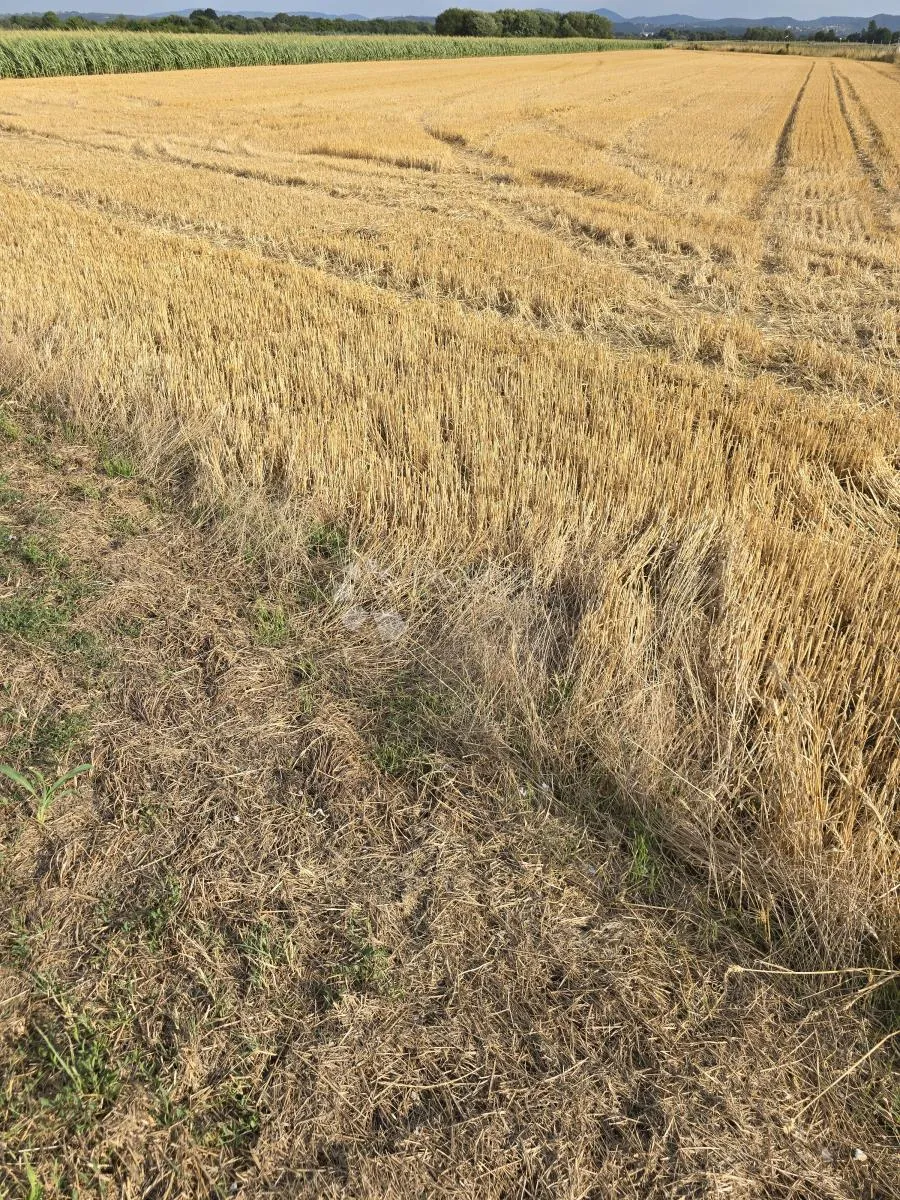 zemljište uz glavnu cestu između varaždina i trnovca – 4310 m² - slika 4