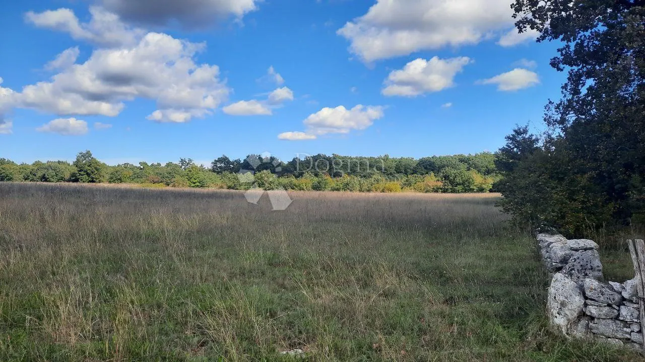 prilika! poljoprivredno zemljište štokovci 26059m2 - slika 3