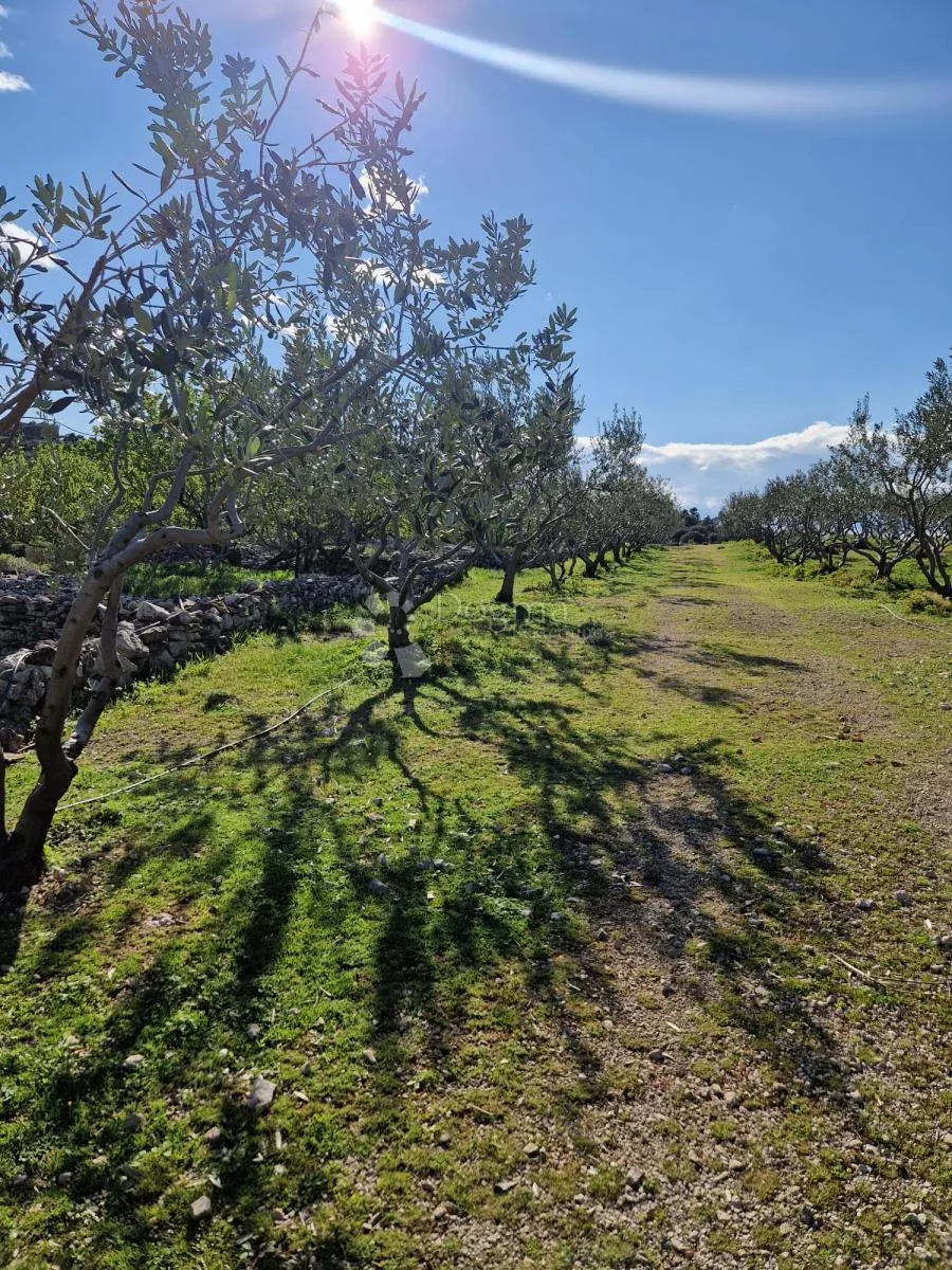 donji humac, zemljište za izgradnju opg-a, 10 630 m2, pogled - slika 12
