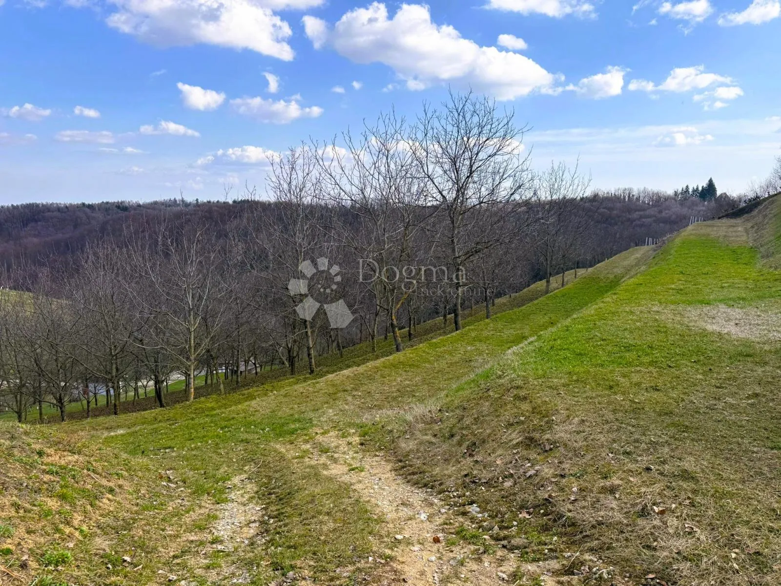 6495 m² prirodne ljepote - 16 terasa, 117 oraha i dva prilaza - slika 2