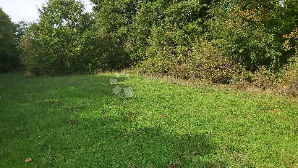 poljoprivredno zemljište u blizini sela - slika 4