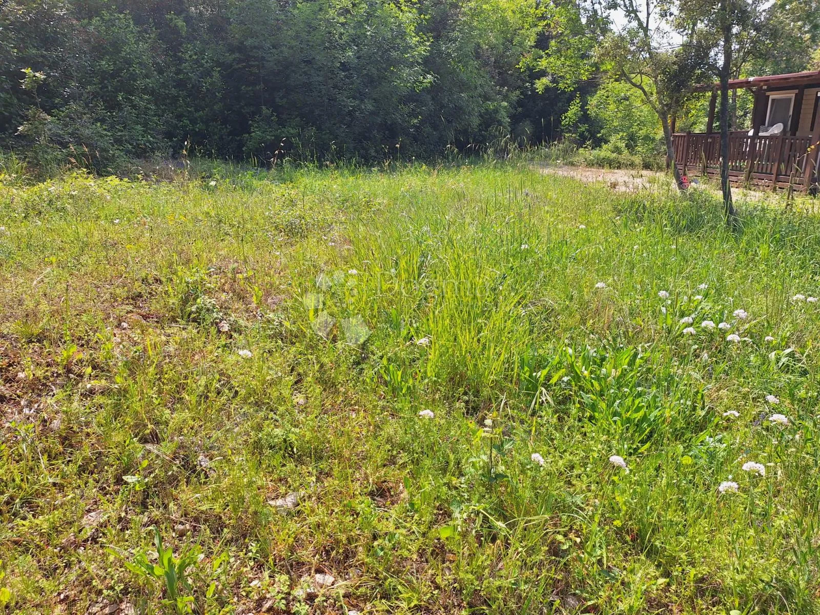 lokacija top šuma na prodaju - slika 1