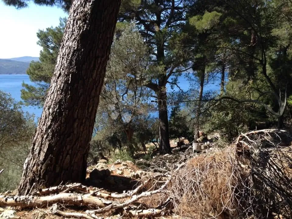 otok cres poljopriovredno zemljište uz more - slika 3