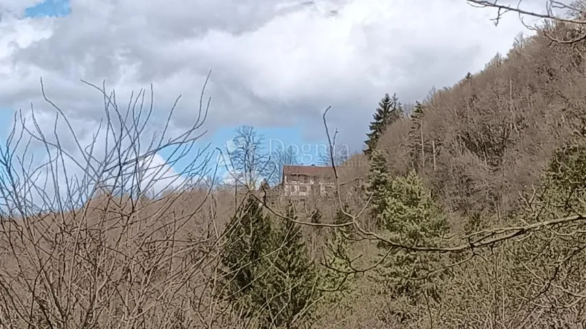 pogled na kupu - slika 7