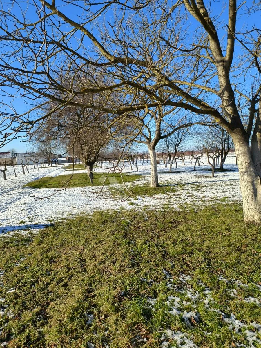ovo zbilja ne smijete propustiti! - slika 12