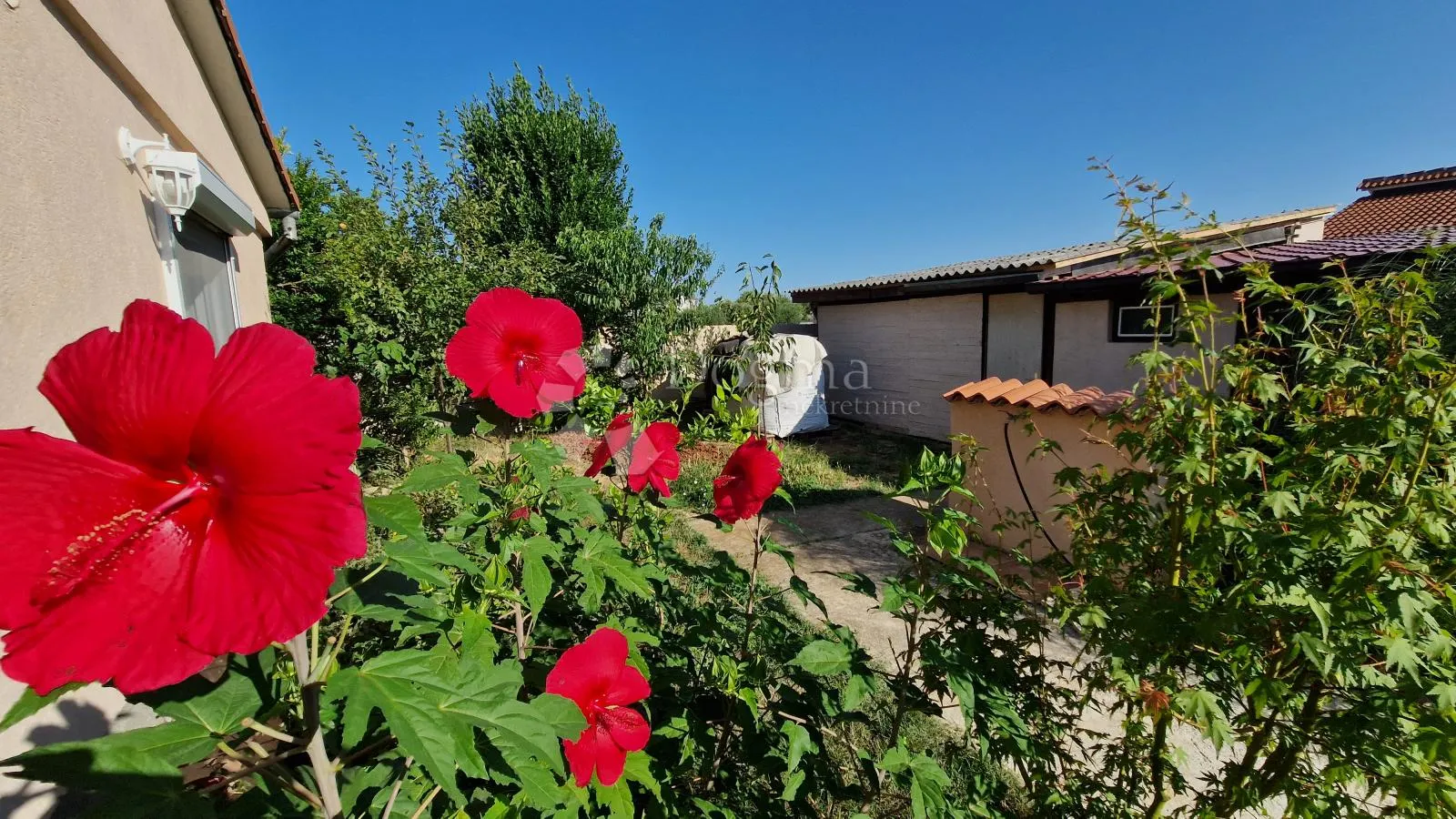 kuća s lijepim dvorištem u šišanu - slika 27