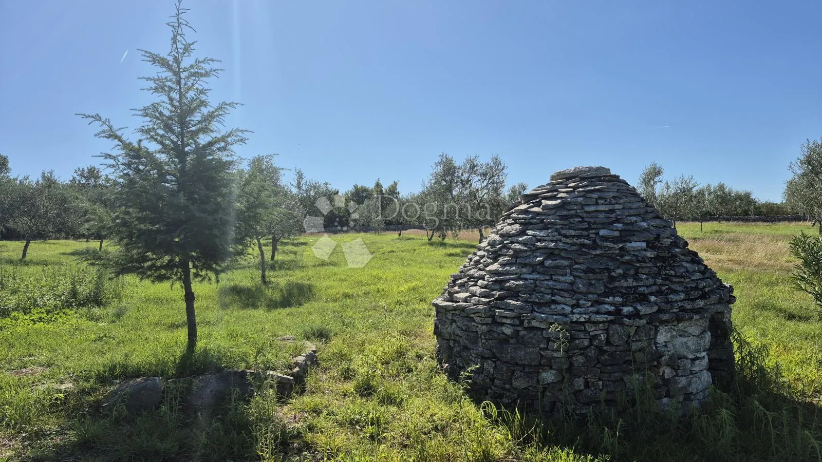 poljoprivredno zemljište sa istarskim kažunom i maslinama 13979 m2 - slika 26