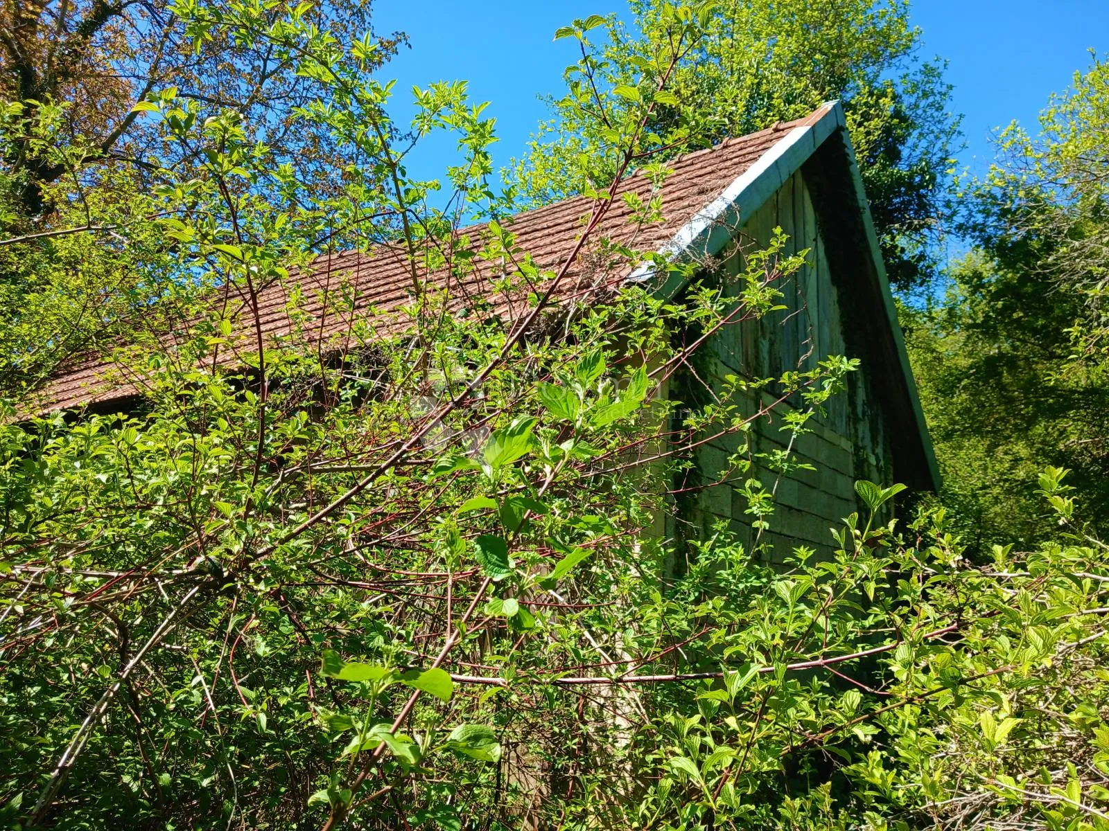 bajkovito imanje uz unu i štrbački buk – 3000 m² mira i prirode za samo 30.000 € - slika 2
