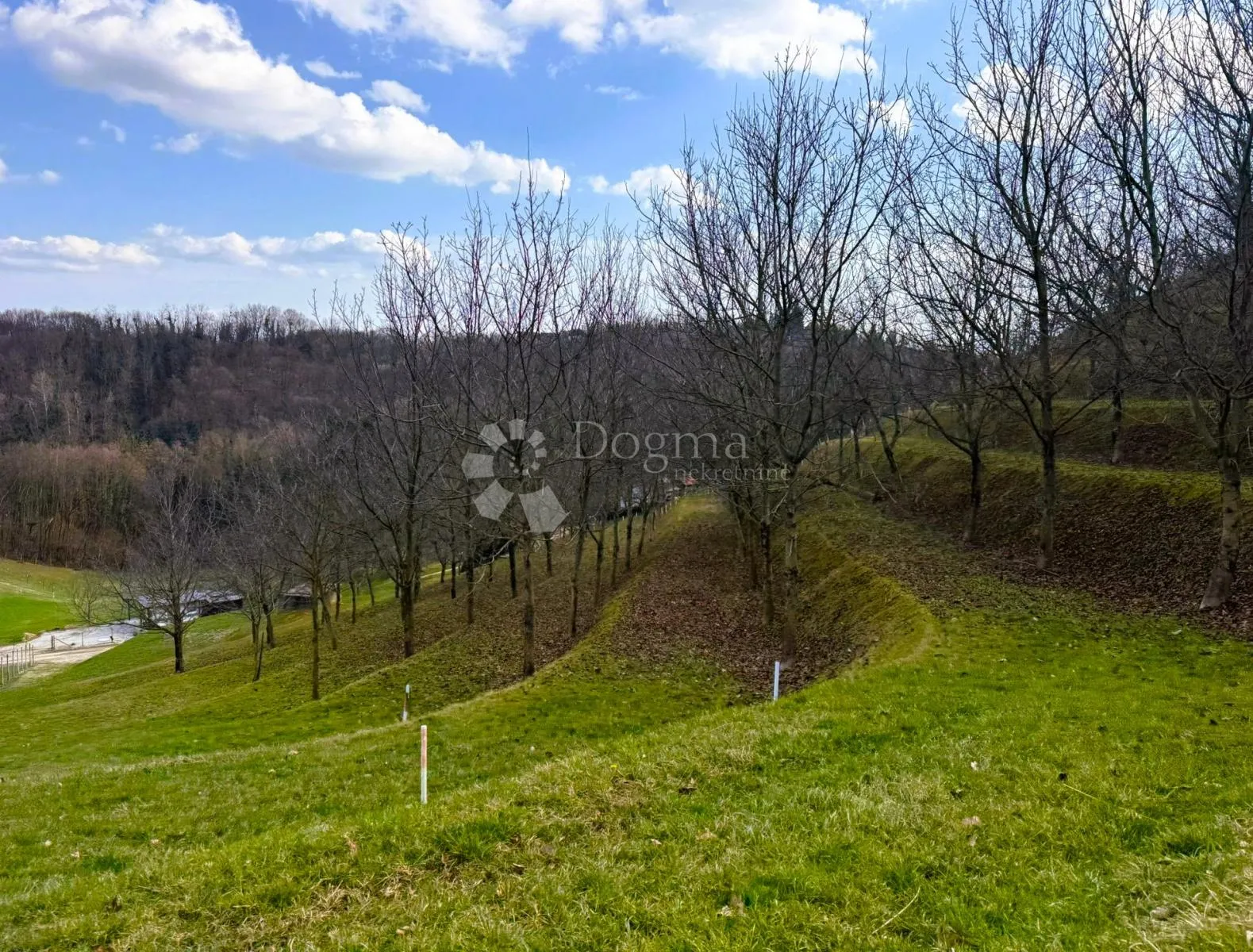 6495 m² prirodne ljepote - 16 terasa, 117 oraha i dva prilaza - slika 3