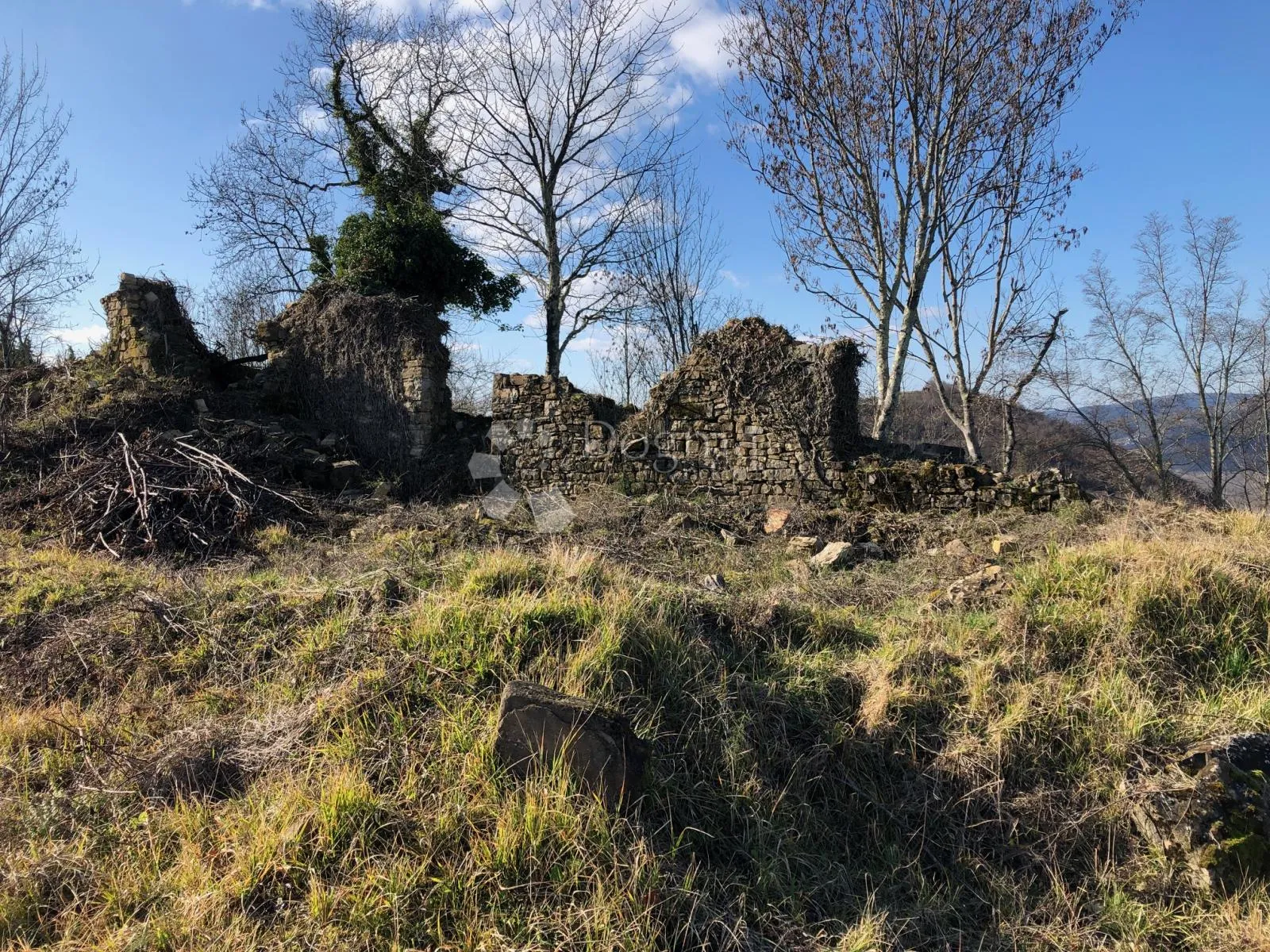 motovun - prekrasno imanje s panoramskim pogledom - slika 2