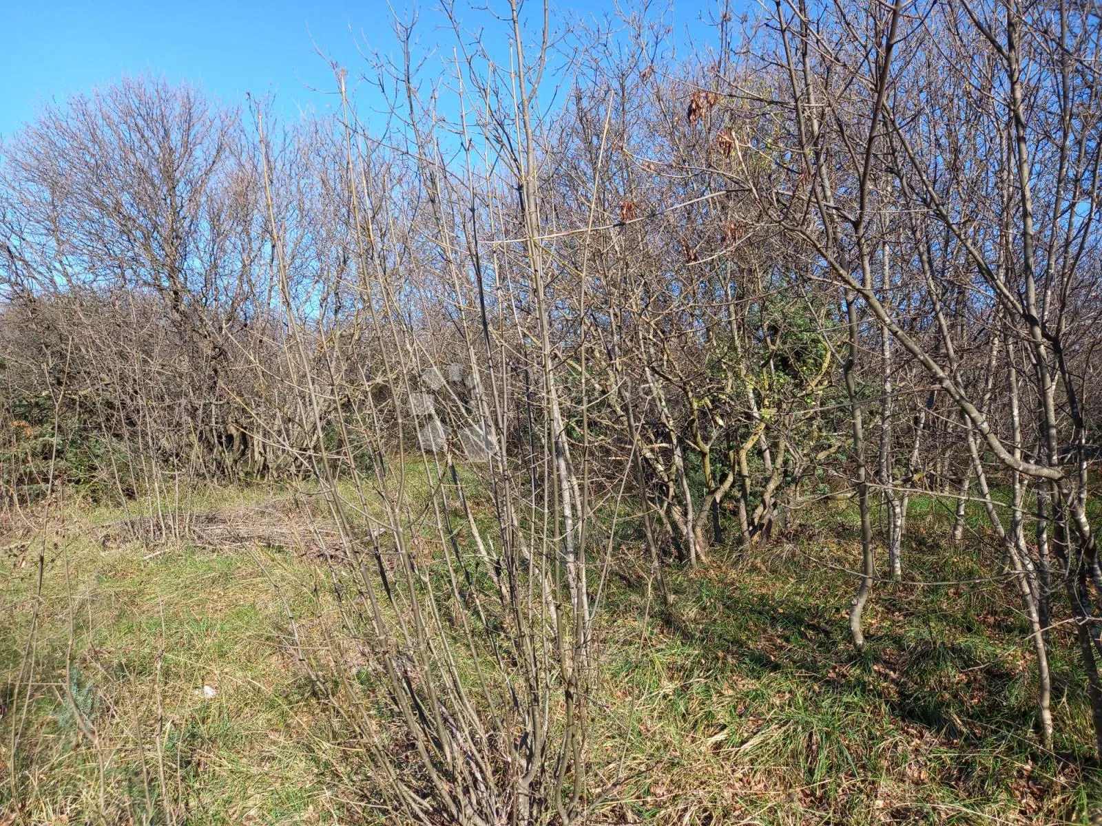 kostrena, teren s pogledom na more - slika 6