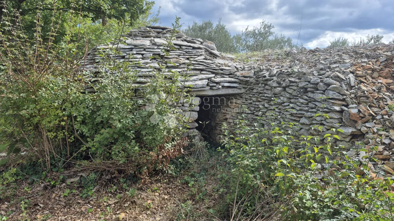 poljoprivredno zemljište sa kažunom površine 3550 m2 - slika 2