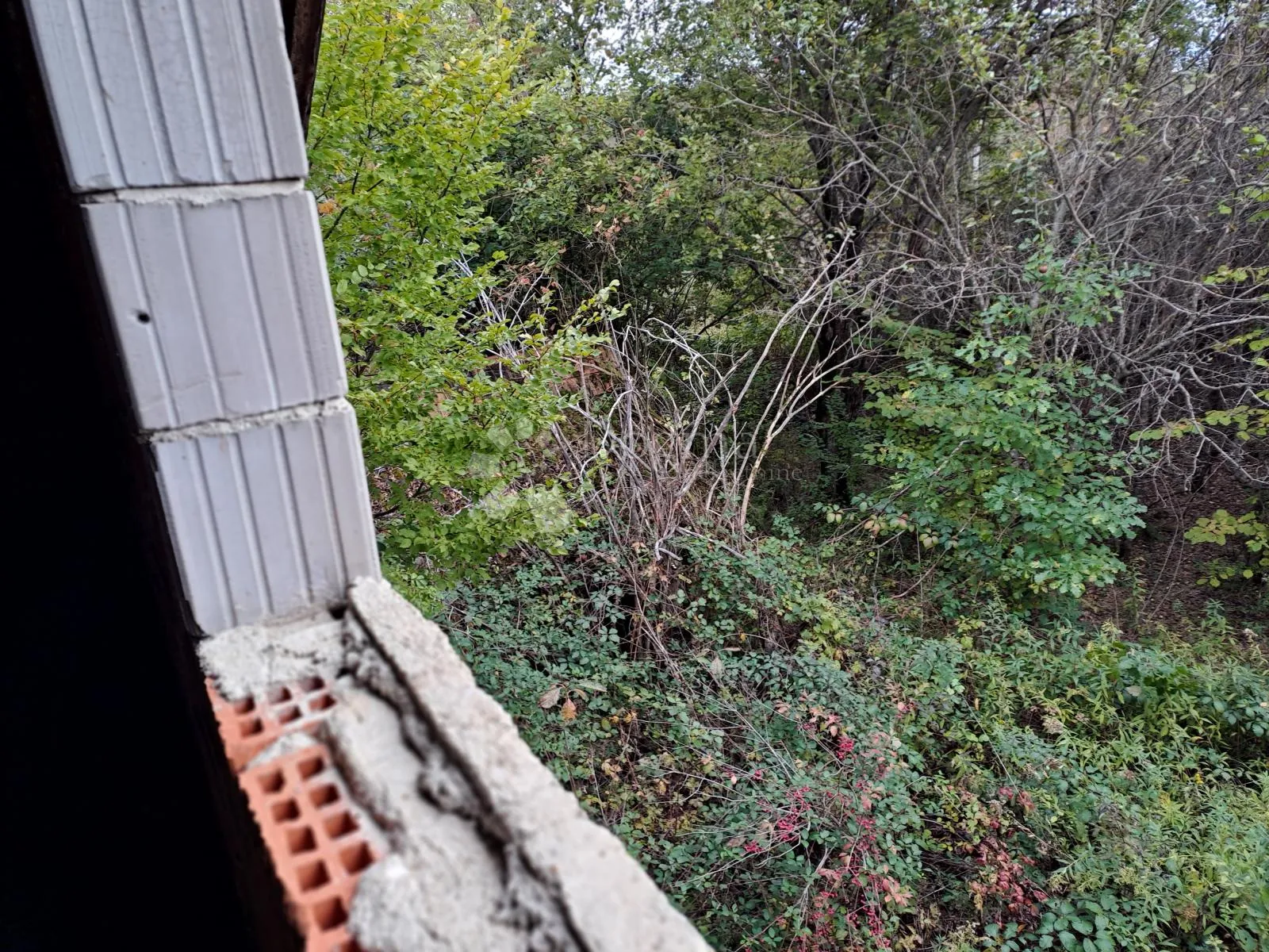 sniženo!!!velika kvadratura i 2kuće u napuštenom selu - slika 14
