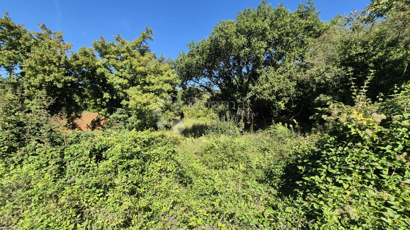 prodaje se poljoprivredno zemljište površine 1636 m2 u cukrićima - slika 8