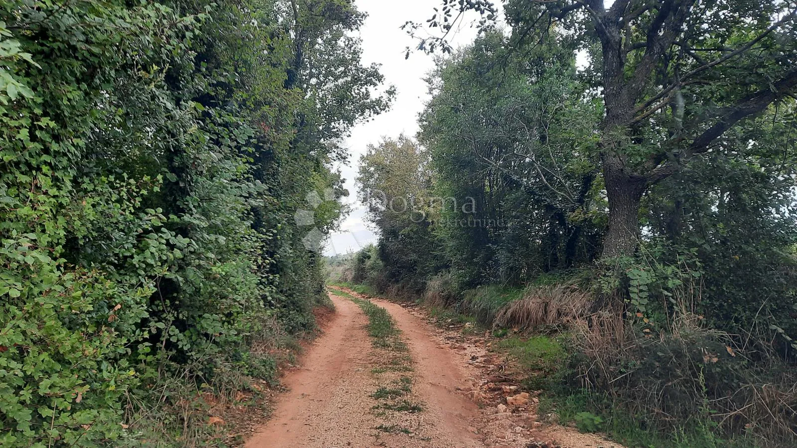 poljoprivredno zemljište, jadreški 500m2 - slika 5