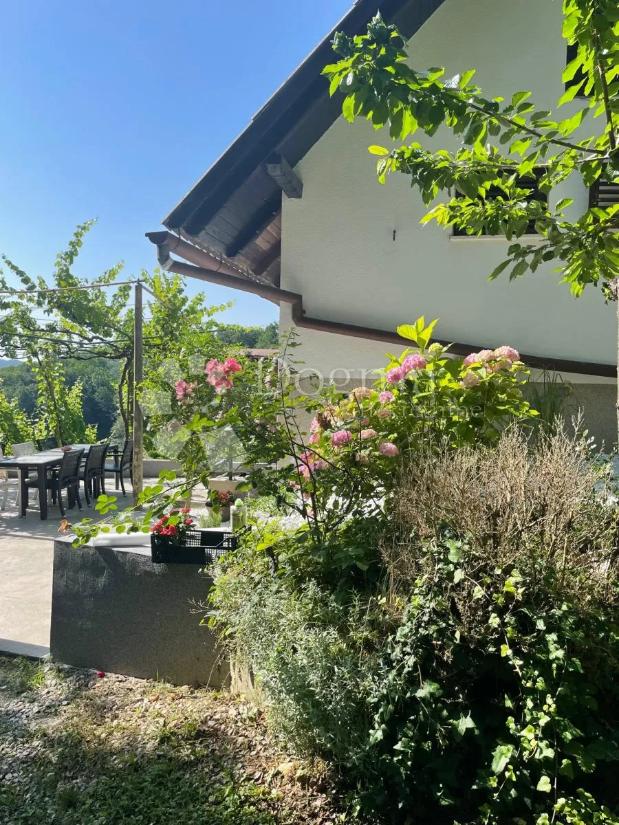 klijet s vinogradom i voćnjakom, 3814m2 - slika 14