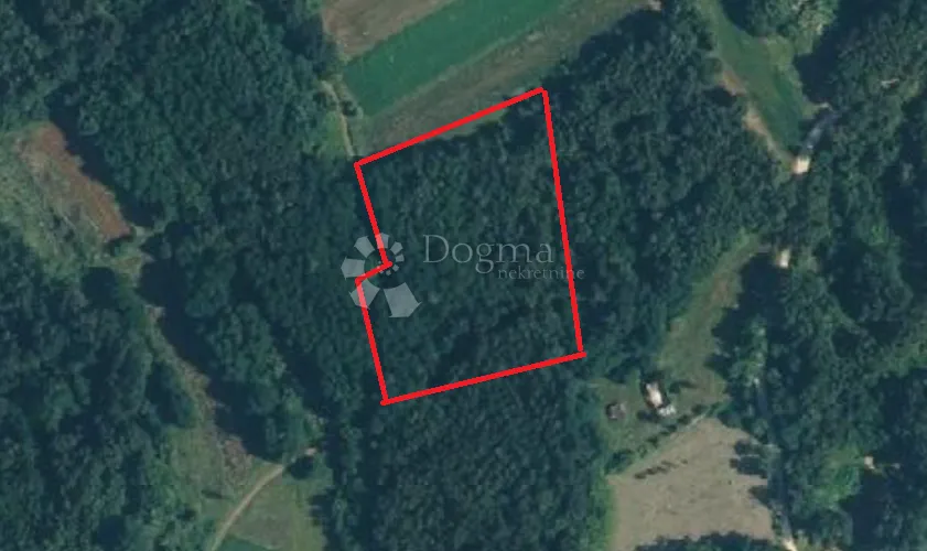 Poljoprivredno zemljiste - PRILIKA! 3196m2 10.000e - Žminj
