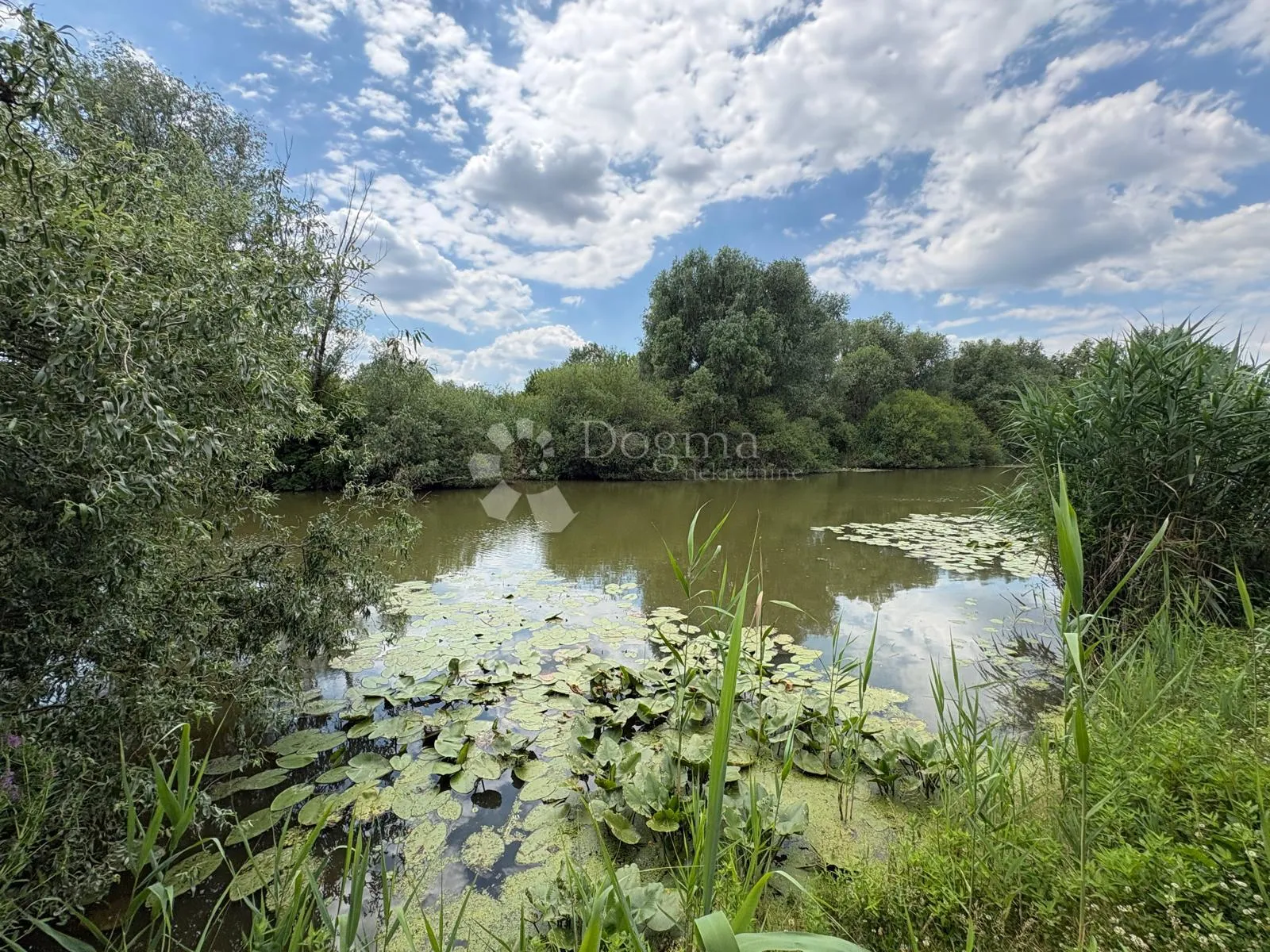 atraktivno imanje s ribnjakom i turističkim potencijalom - slika 35