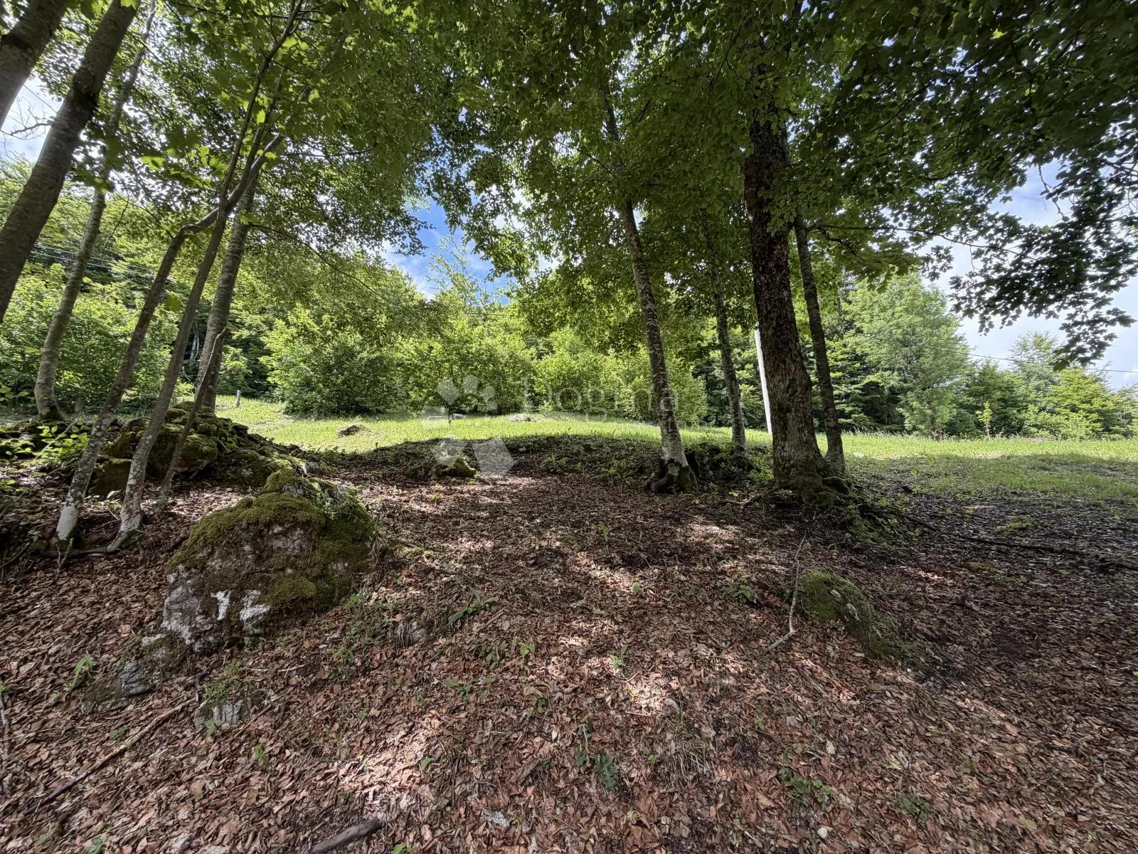 gorski kotar stari laz, građevinsko zemljište 3200m2 - slika 5