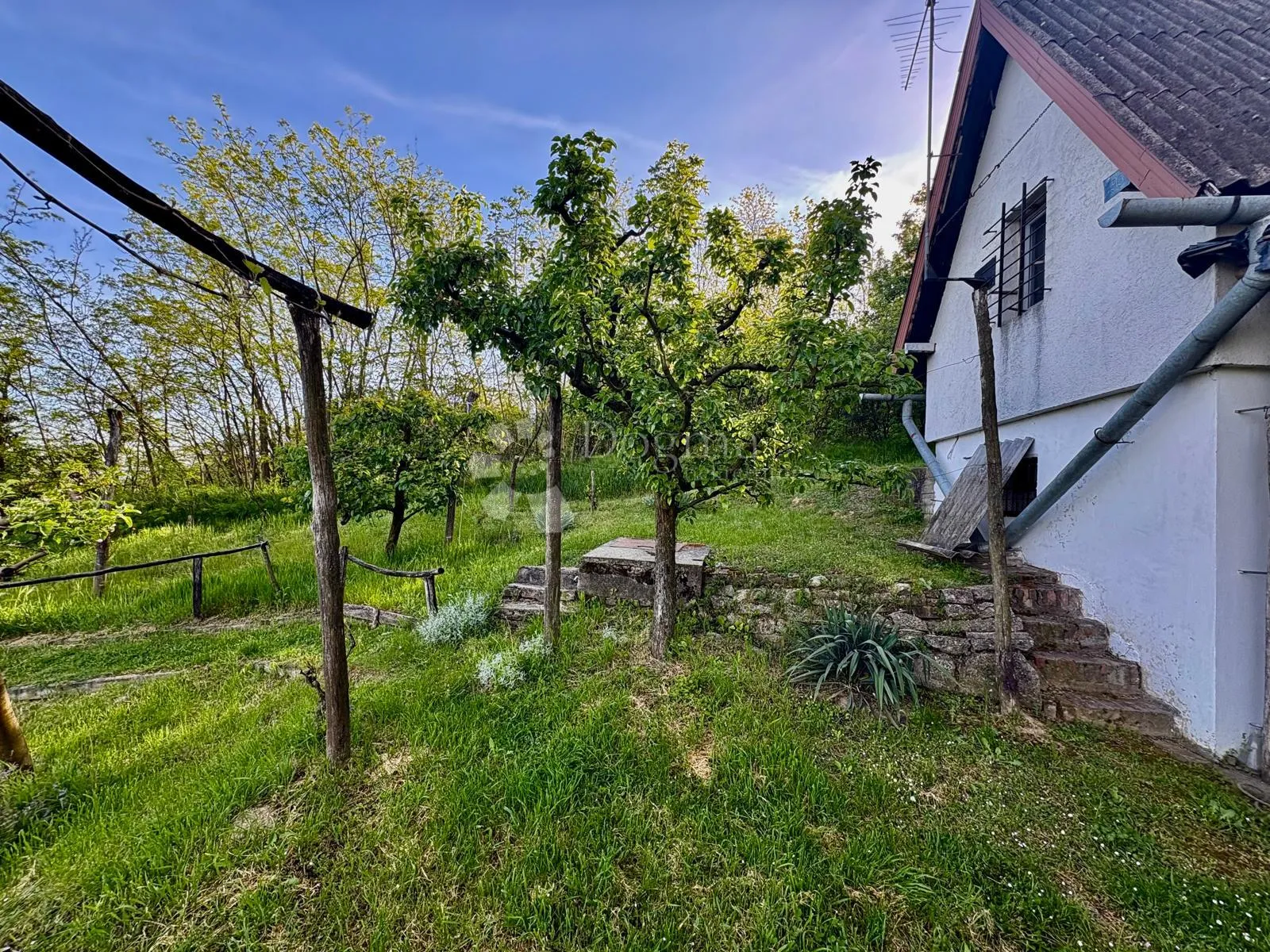 oaza mira i privatnosti – vikendica s vinogradom i 3.797 m² okućnice - slika 7