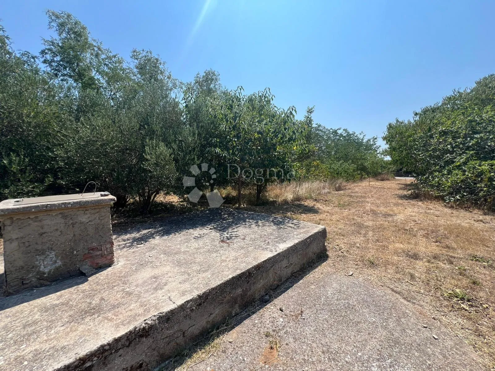 vrsi zadar - kuća za renoviranje sa velikim građevinskim zemljištem - slika 9