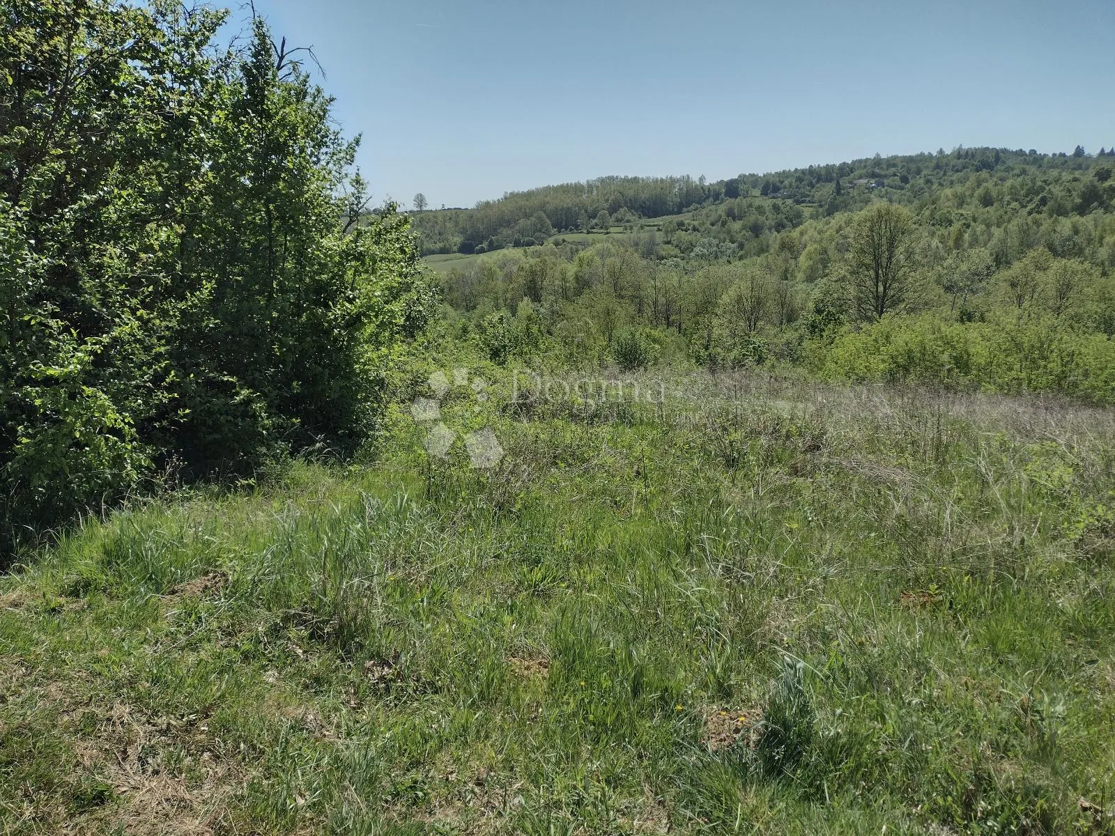 započeta gradnja na osami, izvor, 4ha - slika 6