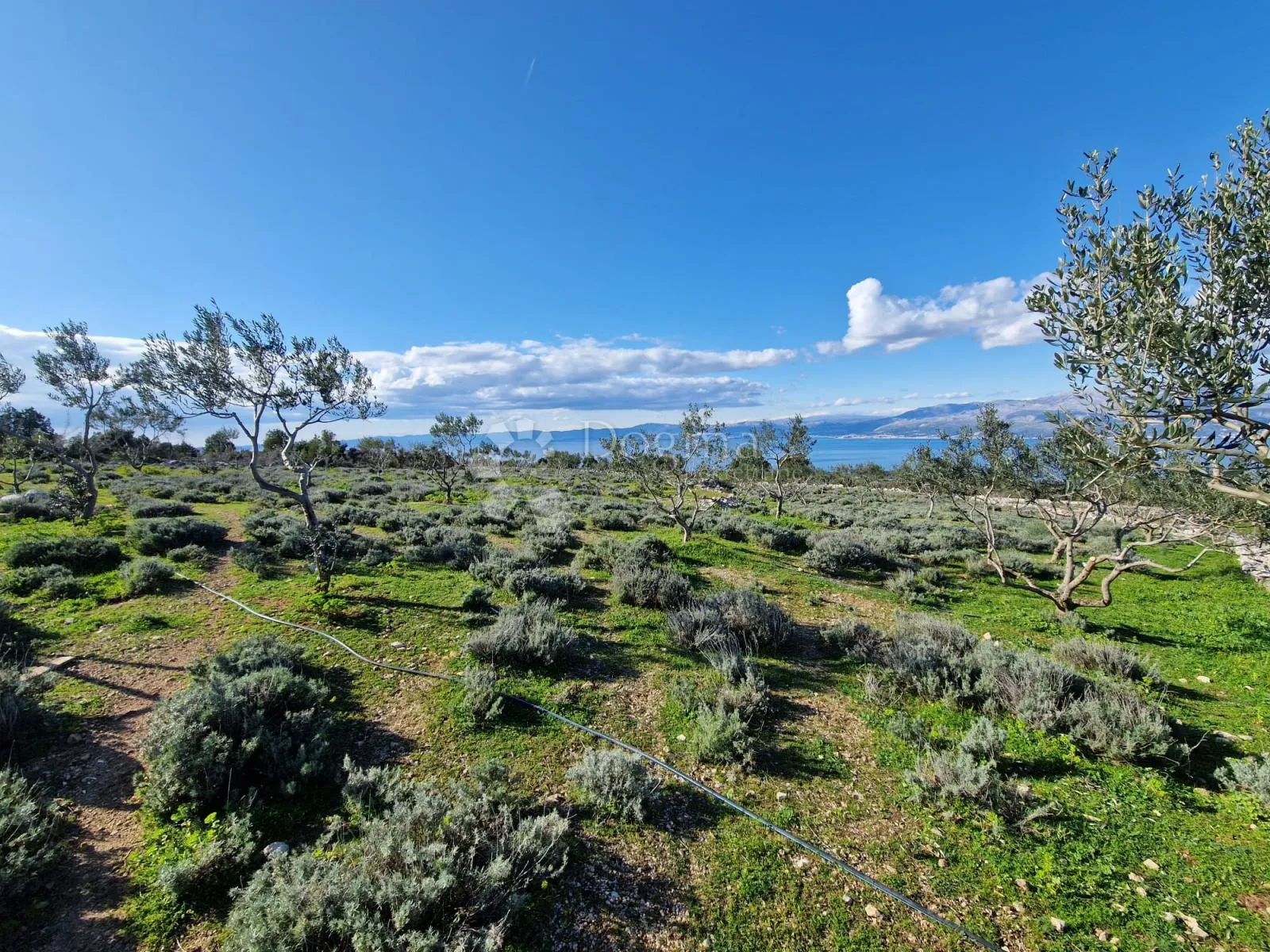 donji humac, zemljište za izgradnju opg-a, 12555 m2, pogled - slika 11