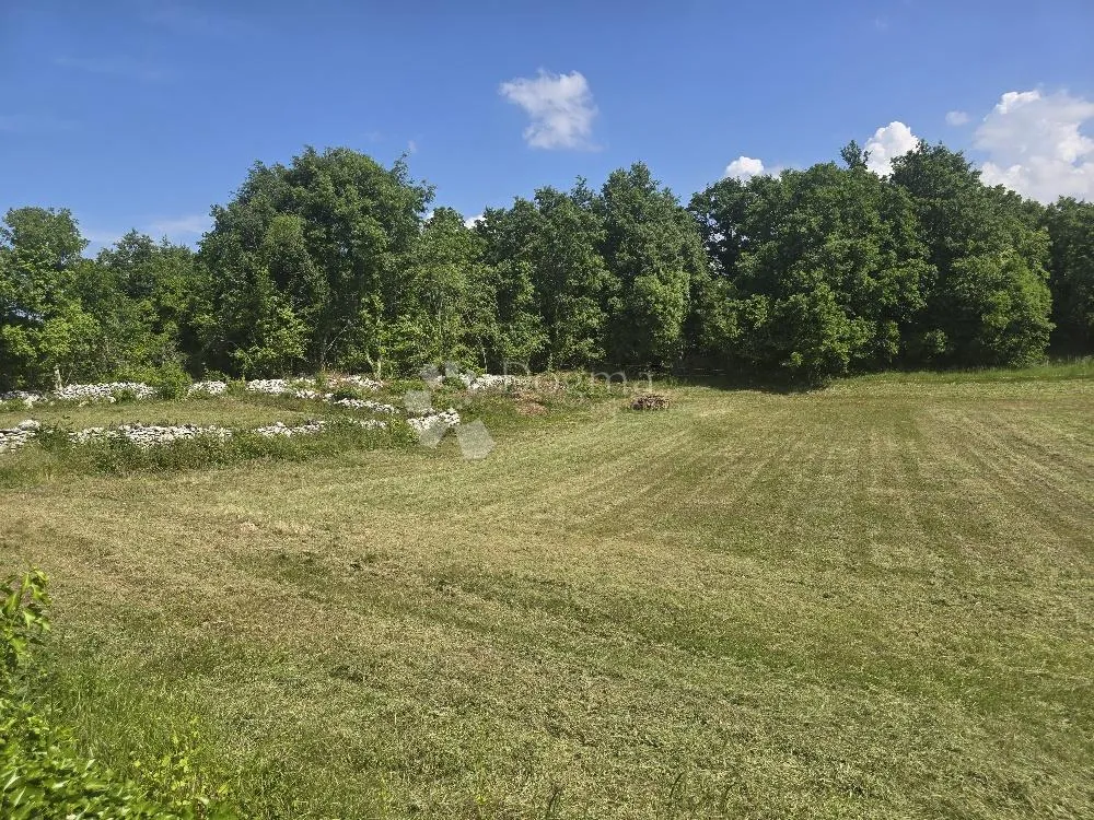 prilika u istri-svetvinčenat,zemljište 2808 m2 - slika 3