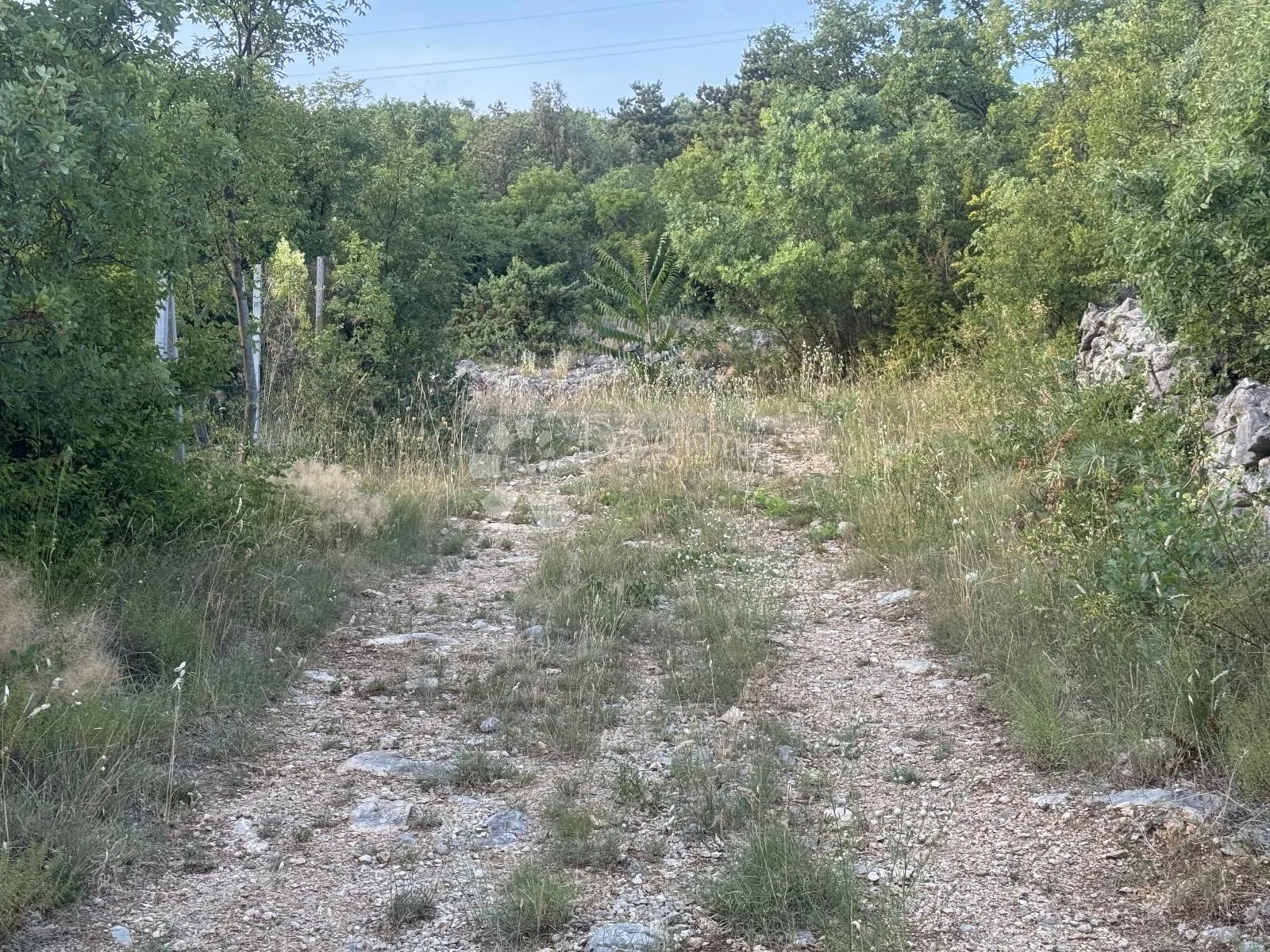 građevinsko zemljište / crikvenica / pogled na more/ 2.928 m2 - slika 5