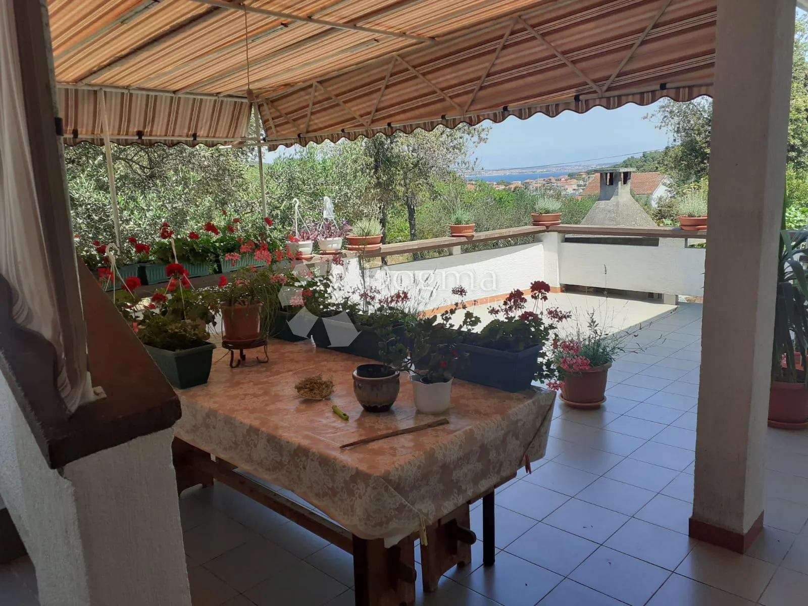 kuća na otoku ugljanu, hitno - slika 4